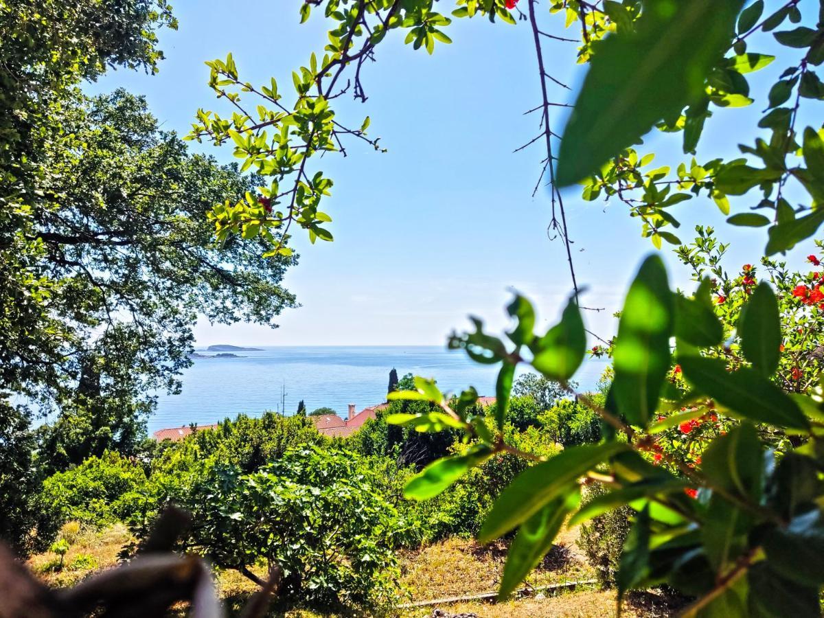 Dubrovnik Moonshine Apartment Mlini Exteriér fotografie